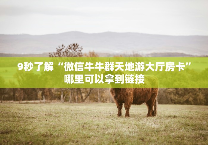 9秒了解“微信牛牛群天地游大厅房卡”哪里可以拿到链接 9秒了解“微信牛牛群天地游大厅房卡”哪里可以拿到链接