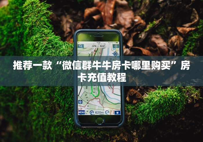 推荐一款“微信群牛牛房卡哪里购买”房卡充值教程